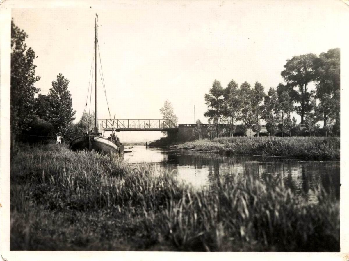 Photograph