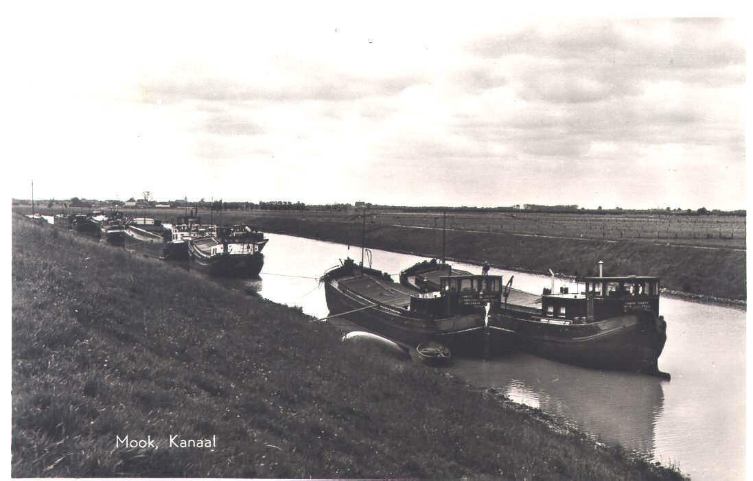 Photograph