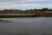 Photo Number 3