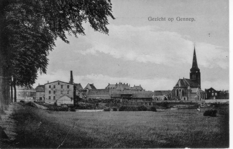 gezichtopgennep.jpg